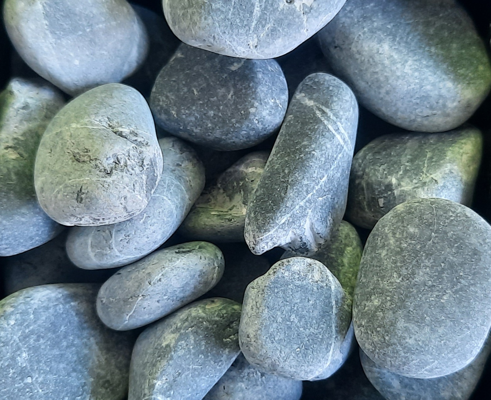 Bola Gris